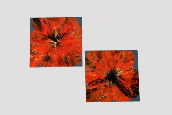 Sunrise orange - Image 4